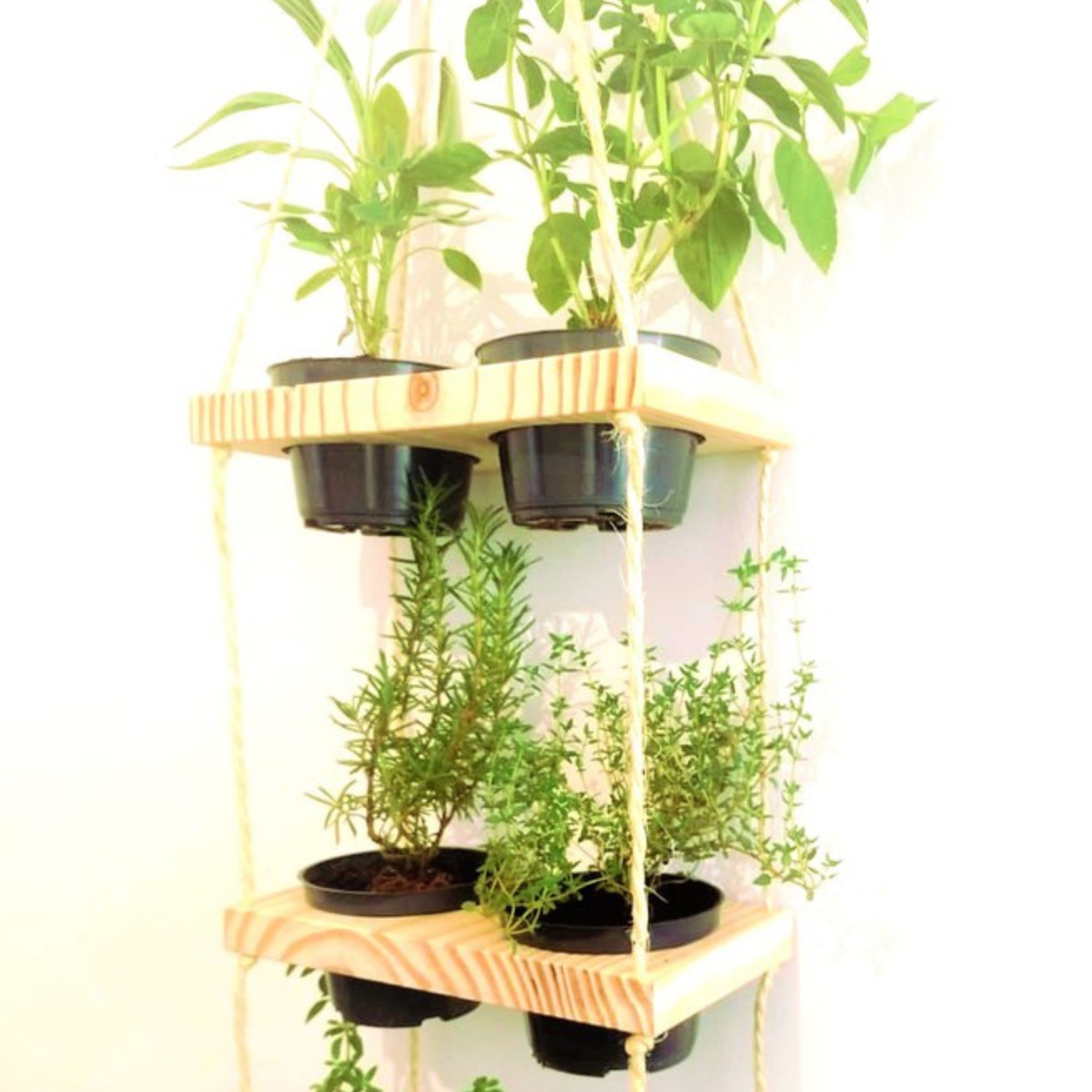 EU-MERECO-MINHA-CASA-LINDA-E-BEM-DECORADA Jardim vertical pequeno: a ideia genial que você vai querer copiar