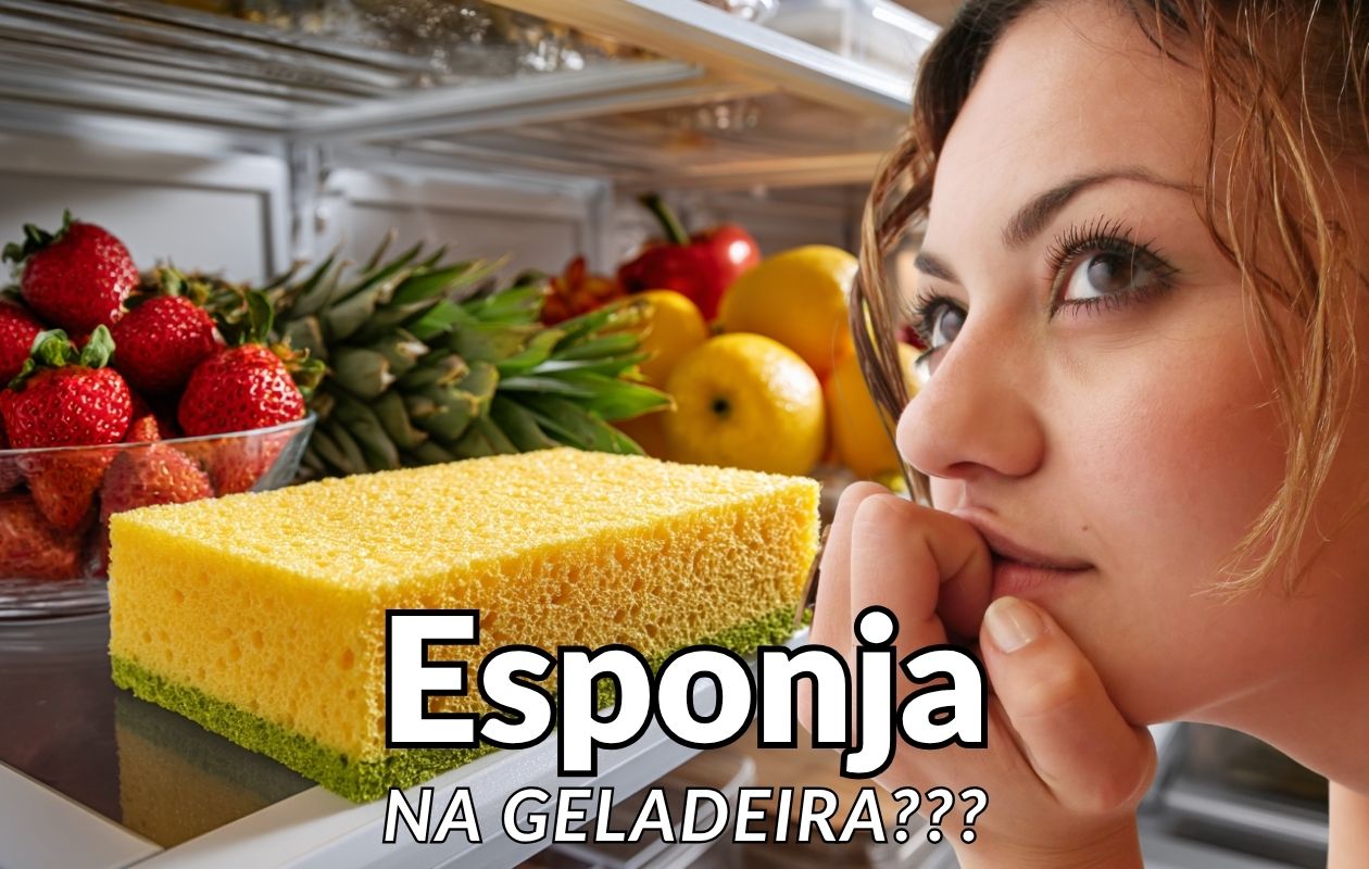 Esponja na geladeira ventrameli decor