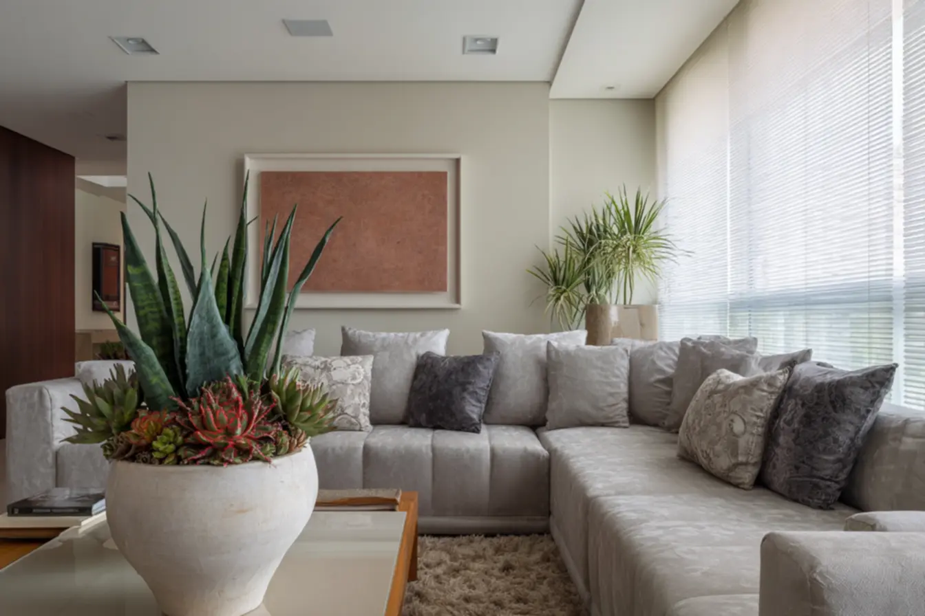 img2011-1757 Jardinagem com suculentas: ideias fáceis que deixam sua casa incrível