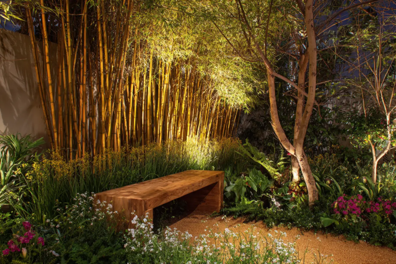 img2011-138 Cercas de bambú: ideias surpreendentes que deixam seu quintal incrível