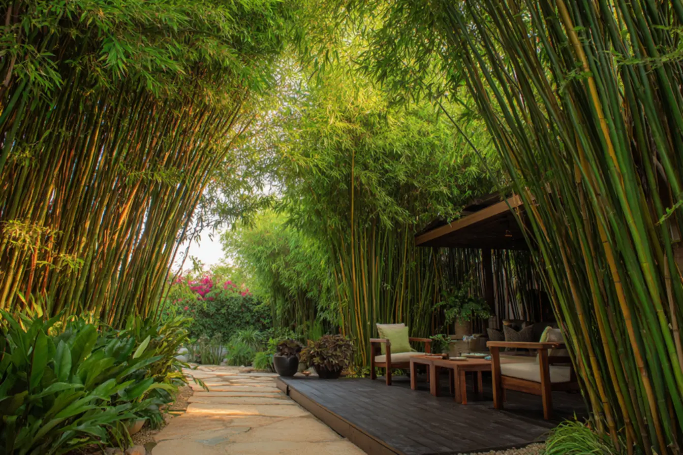 img2011-2327 Cercas de bambú que transformam seu quintal em um paraíso verde img2011-2327 Cercas de bambú que transformam seu quintal em um paraíso verde