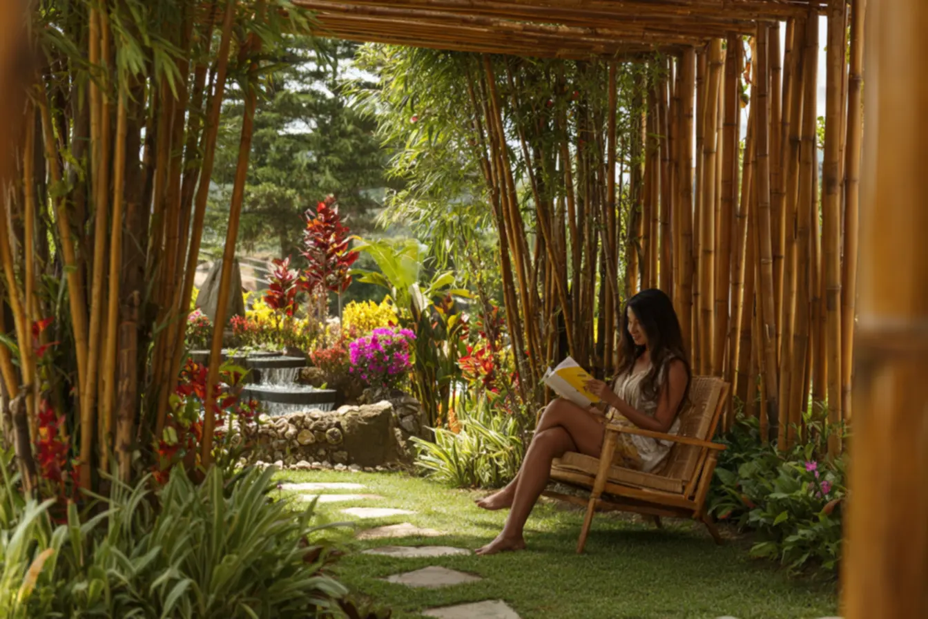 img2011-2333 Cercas de bambú que transformam seu quintal em um paraíso verde img2011-2333 Cercas de bambú que transformam seu quintal em um paraíso verde