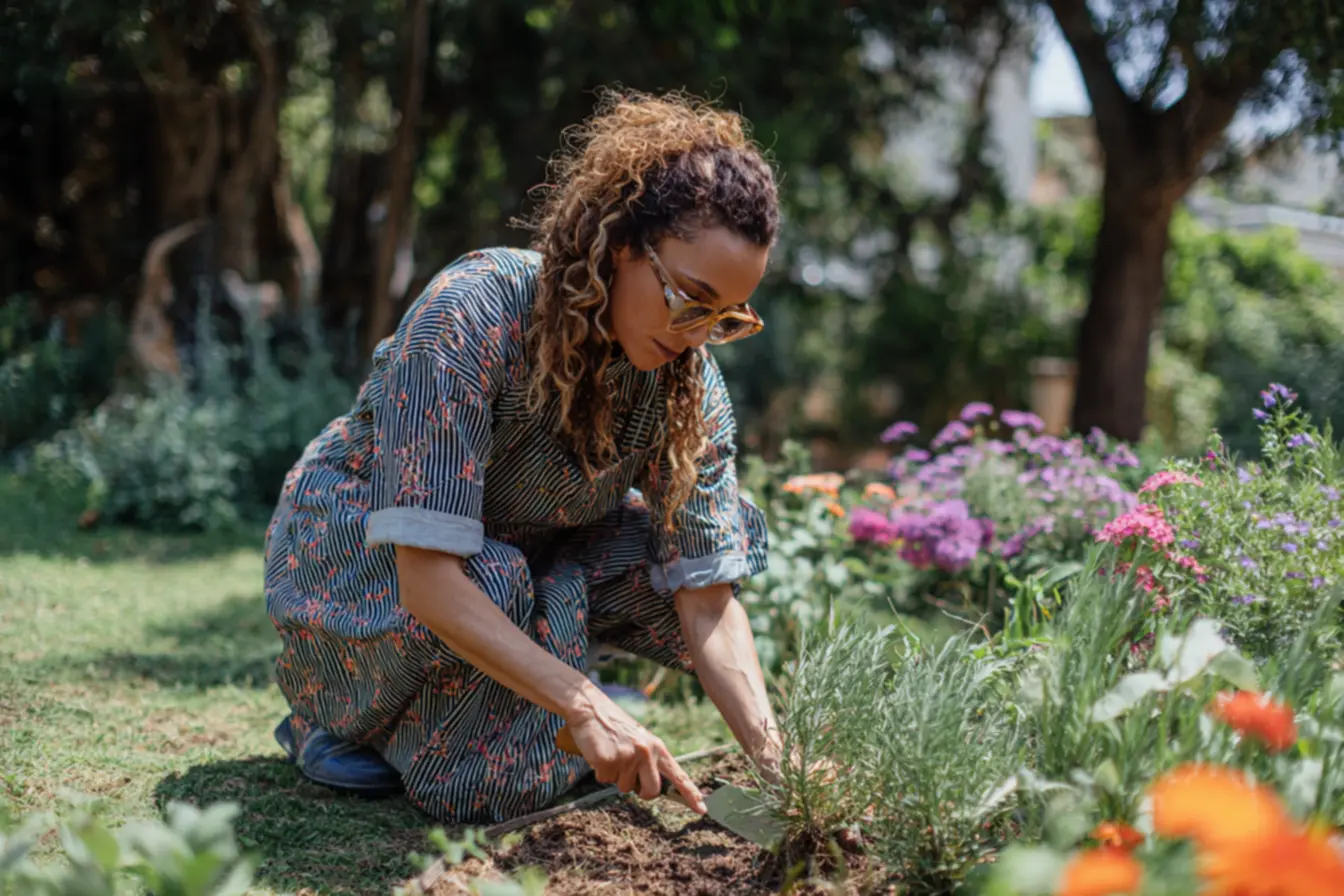 img2011-1803 Escorpiões no quintal? Veja o que pode estar atraindo eles para sua casa e como evitar isso. img2011-1803 Escorpiões no quintal? Veja o que pode estar atraindo eles para sua casa e como evitar isso.