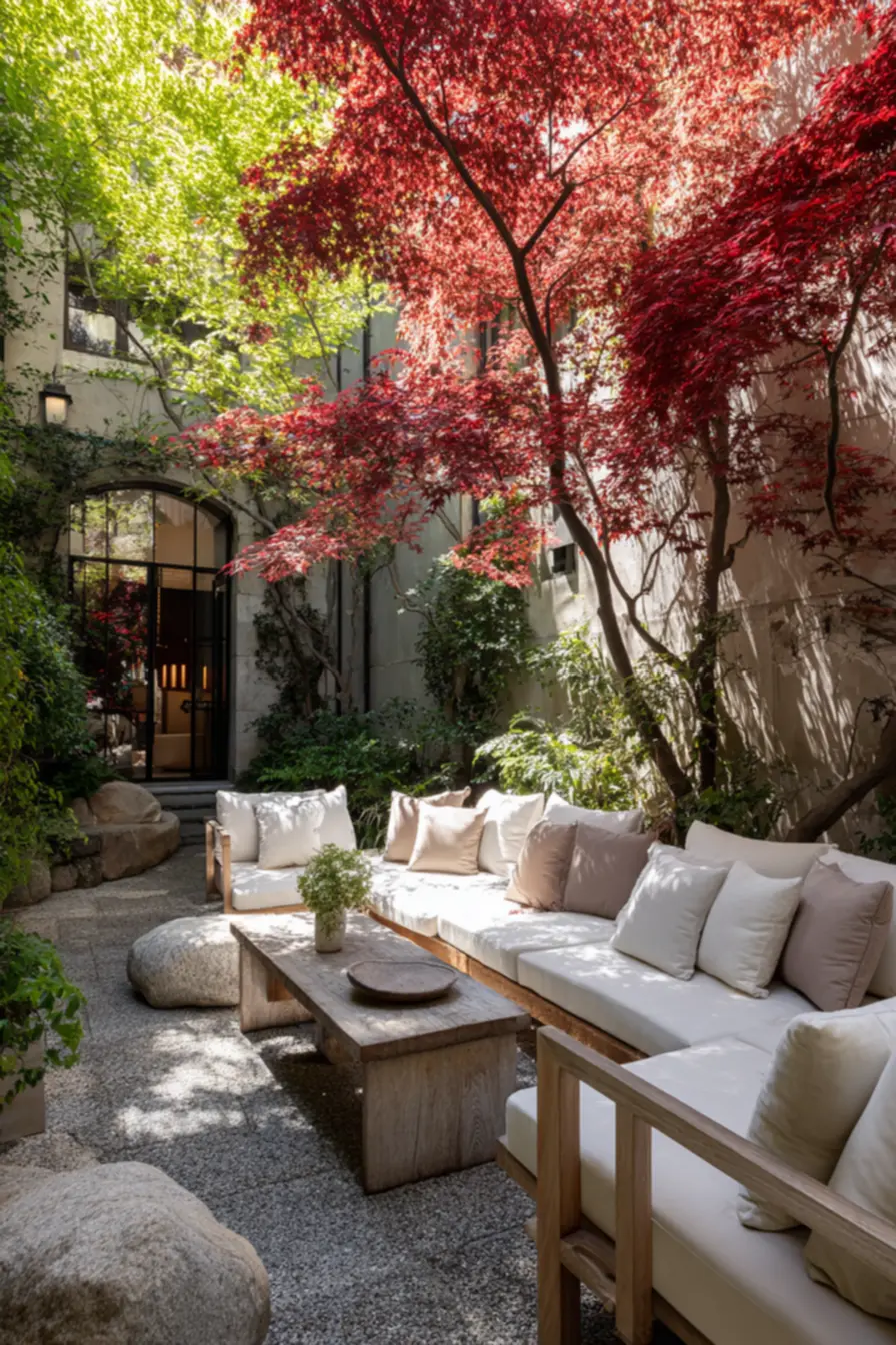 img2011-1858 Jardins deslumbrantes com árvores vibrantes que iluminam qualquer espaço img2011-1858 Jardins deslumbrantes com árvores vibrantes que iluminam qualquer espaço