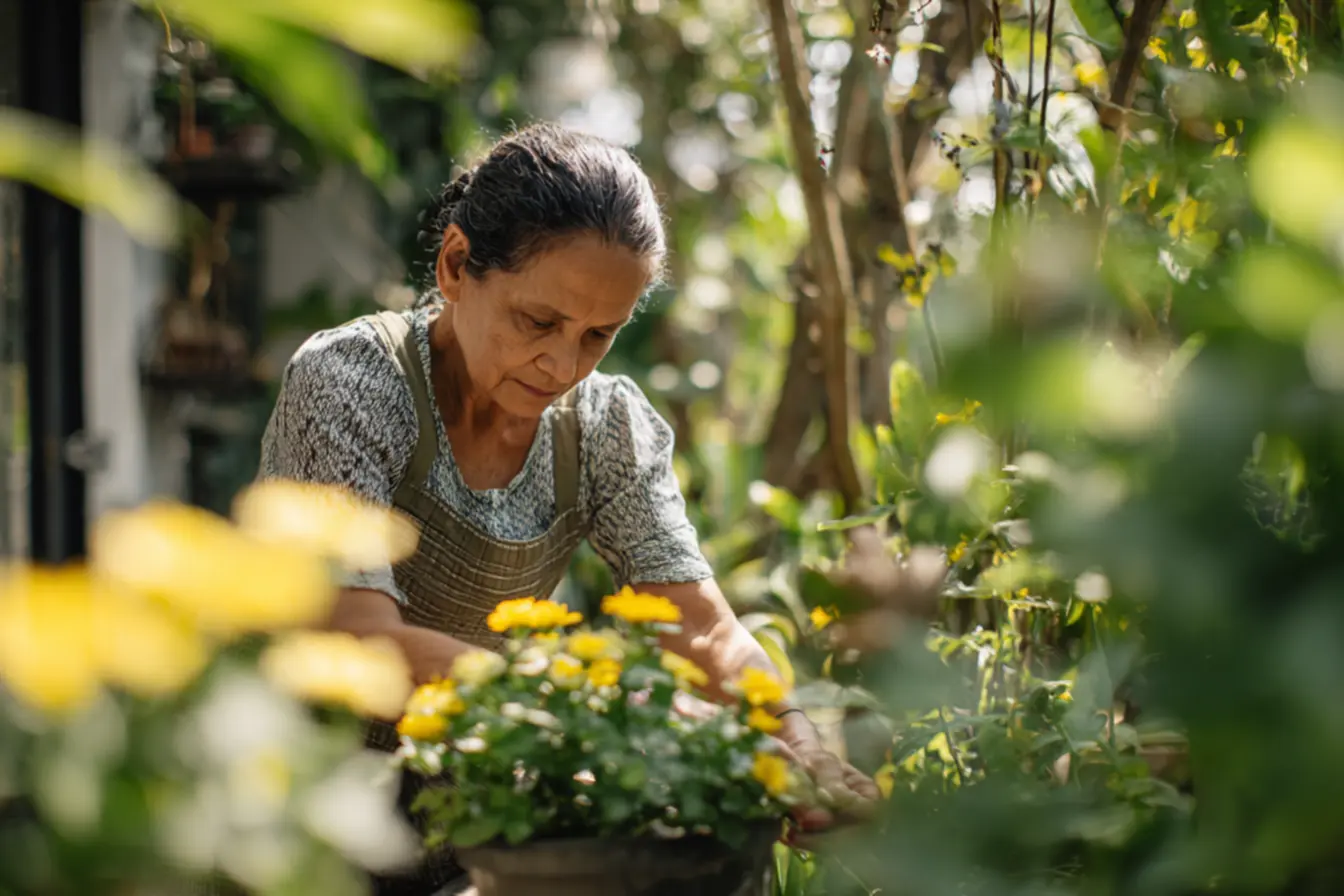 img2011-2065 Caramujos no quintal: como resolver esse problema de uma vez! img2011-2065 Caramujos no quintal: como resolver esse problema de uma vez!