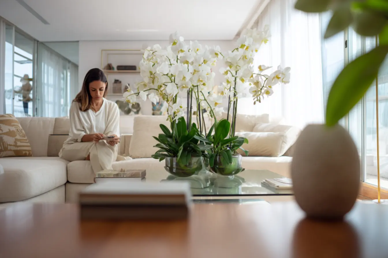 img2011-3019 Os cuidados secretos que fazem suas orquídeas florescerem como nunca dentro de casa img2011-3019 Os cuidados secretos que fazem suas orquídeas florescerem como nunca dentro de casa