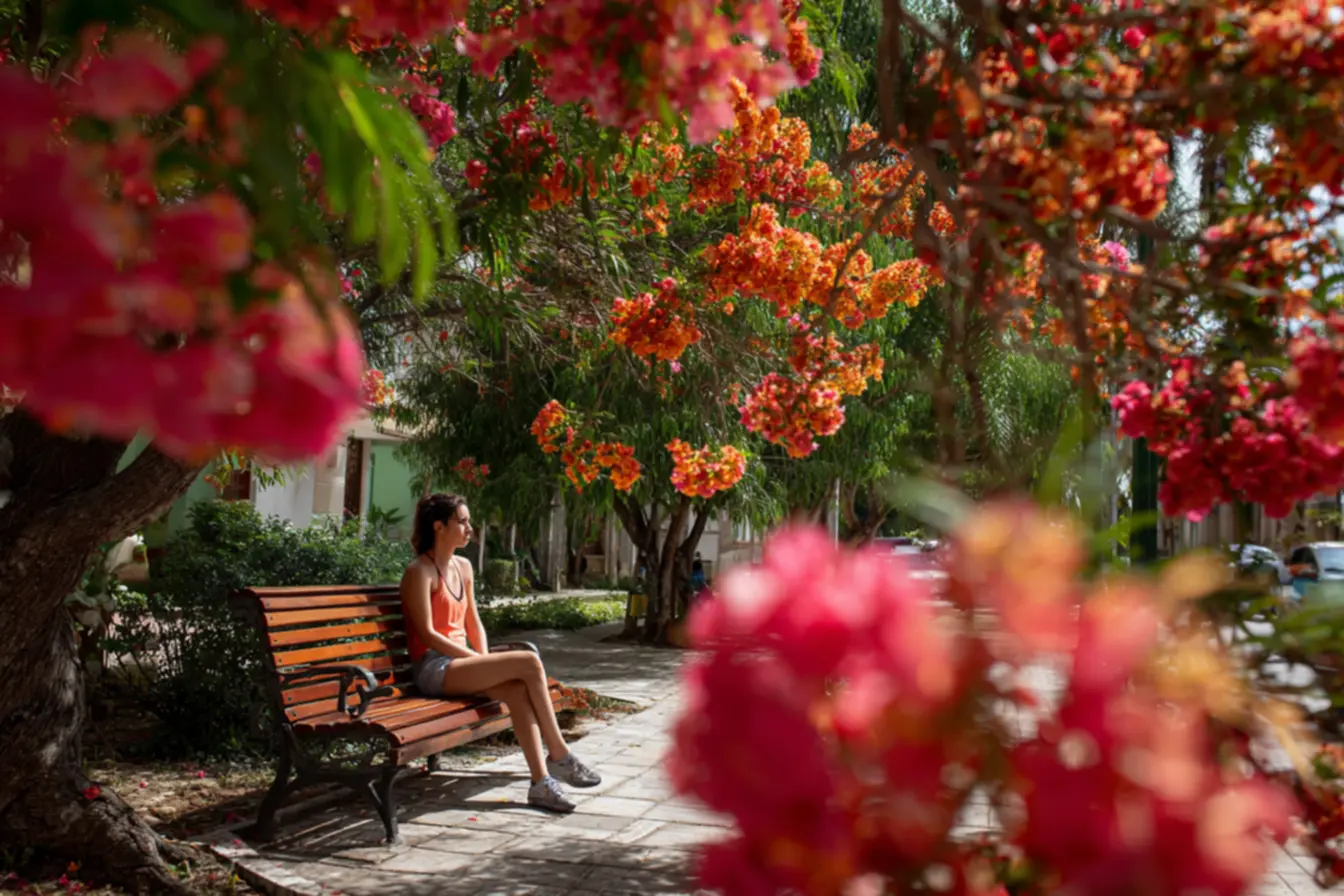 img2011-80 Árvores lindas para calçada: descubra as melhores opções que encantam img2011-80 Árvores lindas para calçada: descubra as melhores opções que encantam