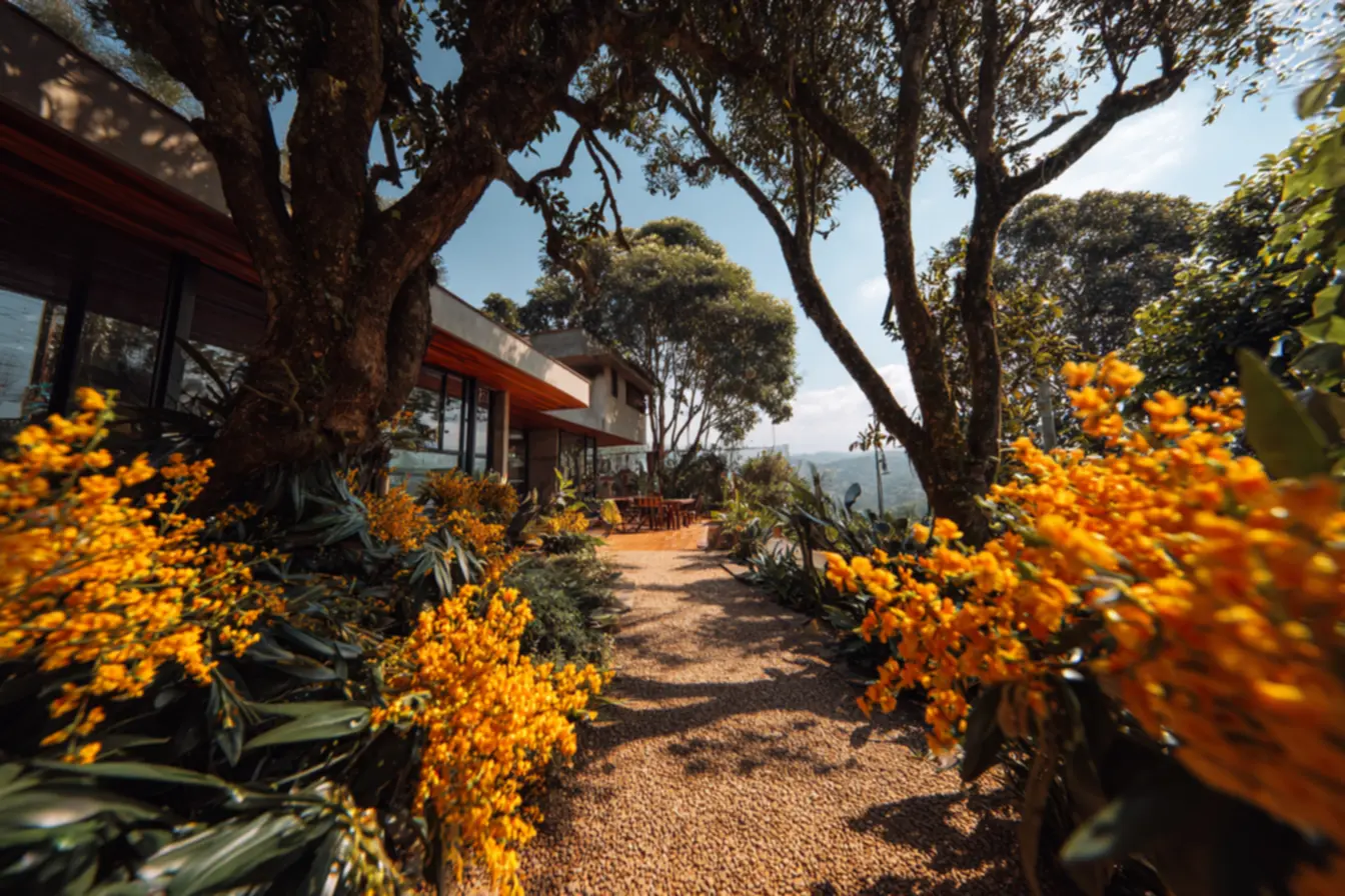 img2011-53 Árvore perfeita para calçada: o segredo para paisagens deslumbrantes img2011-53 Árvore perfeita para calçada: o segredo para paisagens deslumbrantes