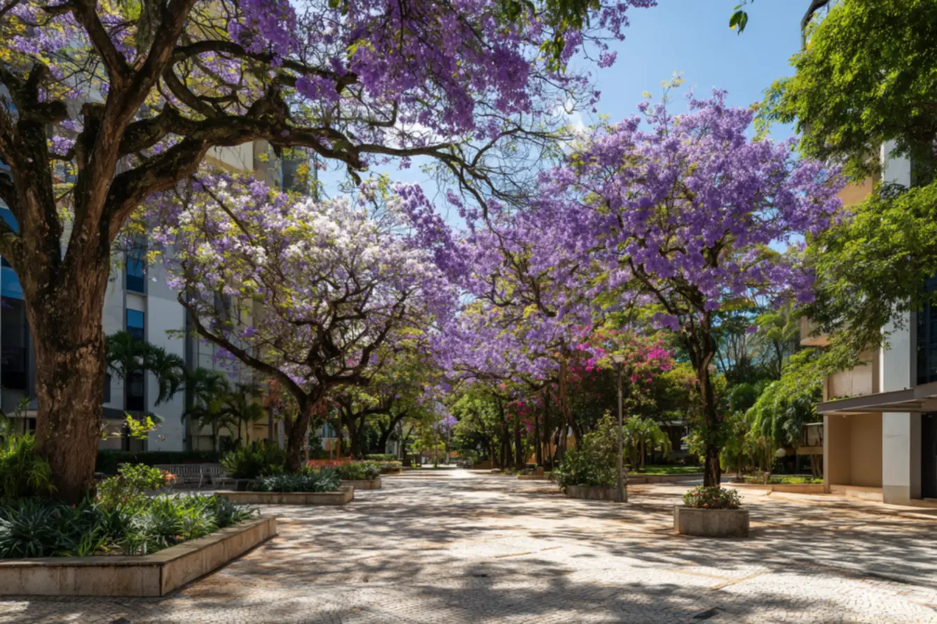 img2011-720 Essas são as árvores perfeitas para calçada em cidades quentes img2011-720 Essas são as árvores perfeitas para calçada em cidades quentes