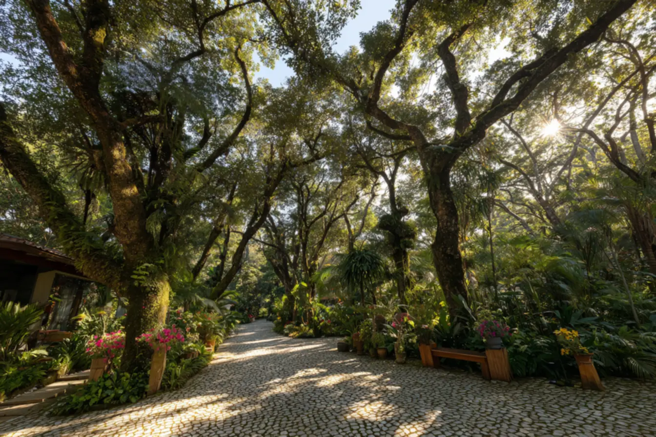 img2011-725 Essas são as árvores perfeitas para calçada em cidades quentes img2011-725 Essas são as árvores perfeitas para calçada em cidades quentes