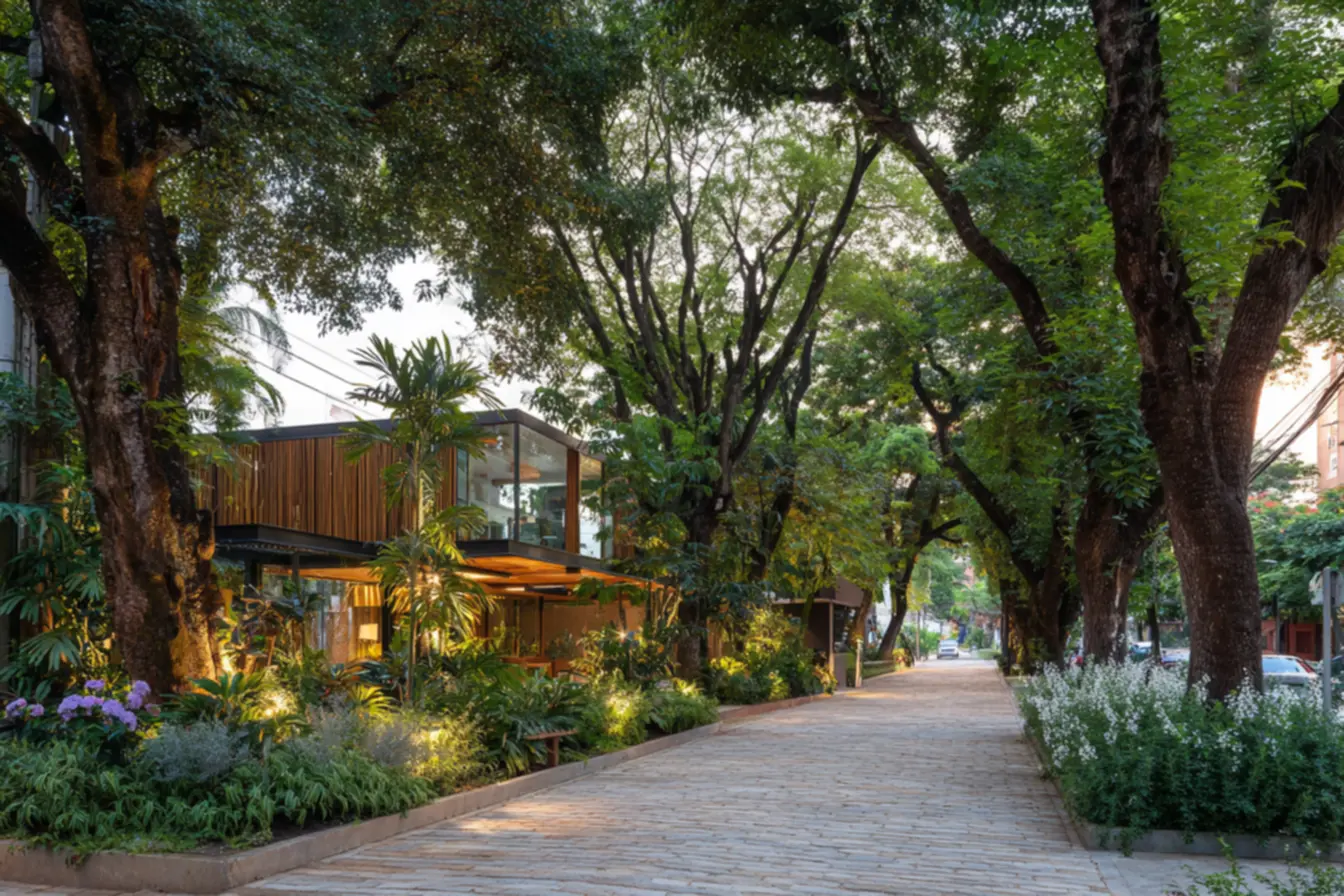 img2011-811 As árvores que refrescam e embelezam calçadas em climas quentes surpreendendo você em 2026 img2011-811 As árvores que refrescam e embelezam calçadas em climas quentes surpreendendo você em 2026