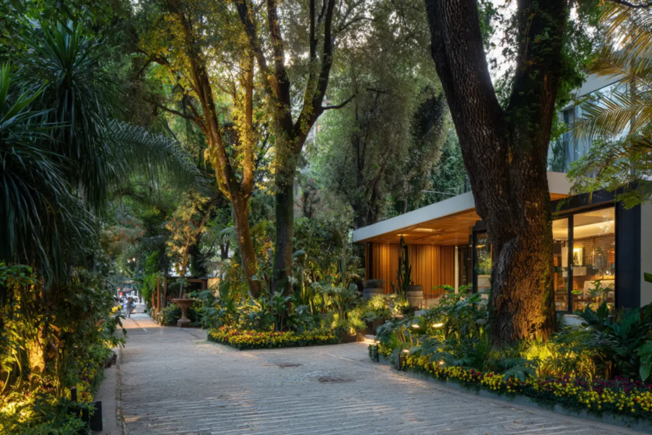 img2011-812 As árvores que refrescam e embelezam calçadas em climas quentes surpreendendo você em 2026 img2011-812 As árvores que refrescam e embelezam calçadas em climas quentes surpreendendo você em 2026