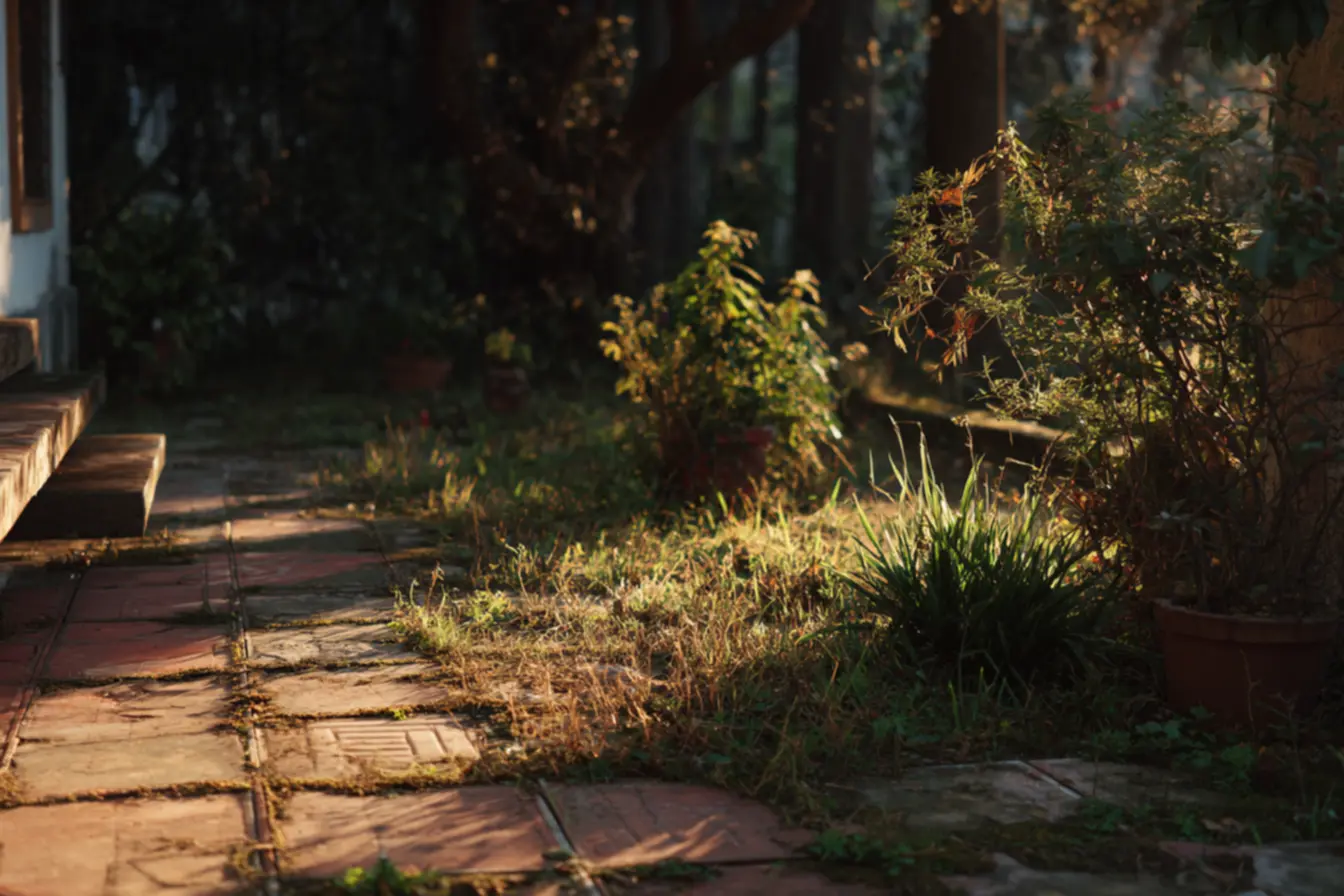 img2011-tijolo-que-resolveu-o-problema Piso de tijolo que resolveu o problema da grama morta no quintal img2011-tijolo-que-resolveu-o-problema Piso de tijolo que resolveu o problema da grama morta no quintal