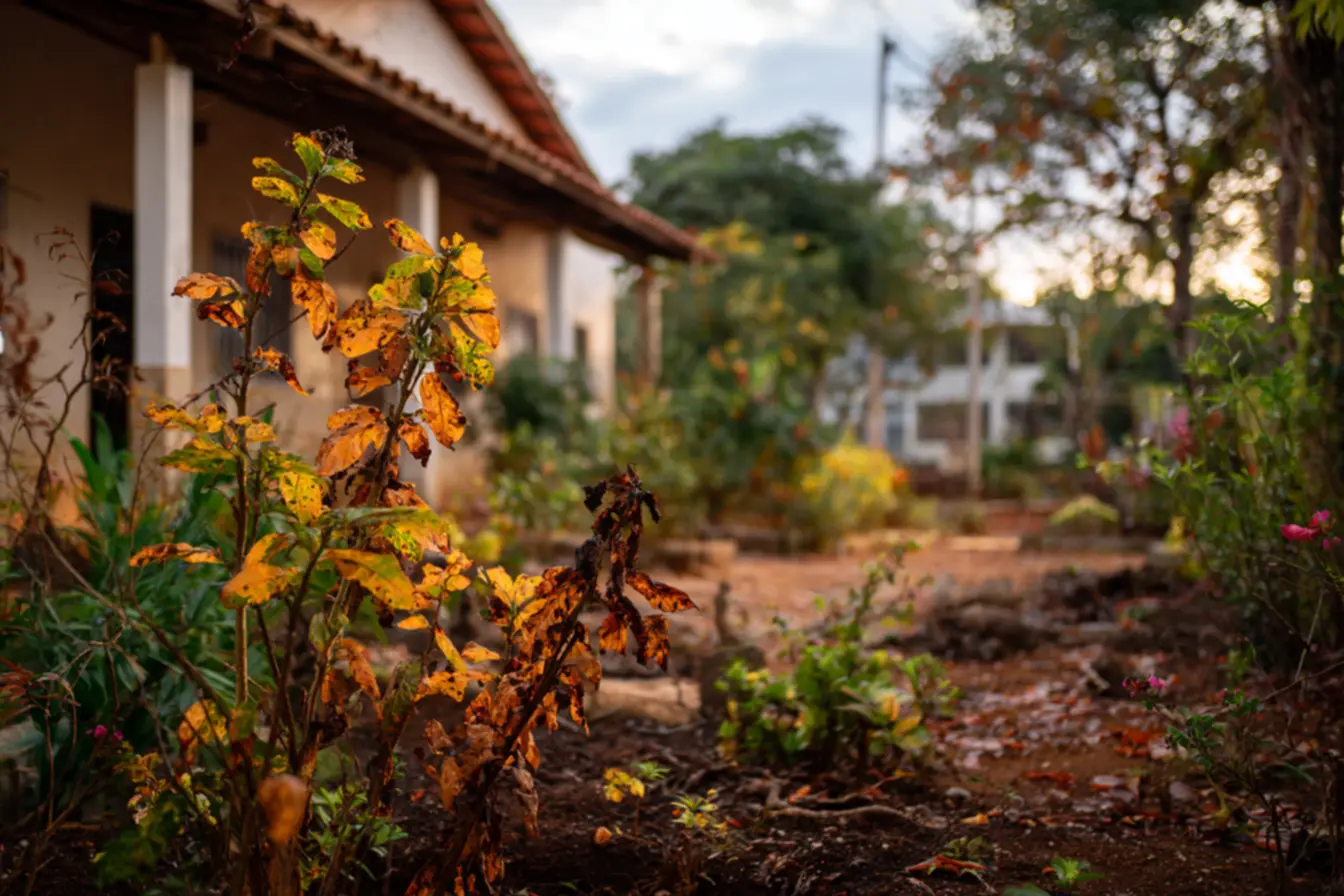 recuperar-um-solo-afetado-2 Soluções inesperadas para recuperar um solo afetado e devolver vida ao seu jardim recuperar-um-solo-afetado-2 Soluções inesperadas para recuperar um solo afetado e devolver vida ao seu jardim