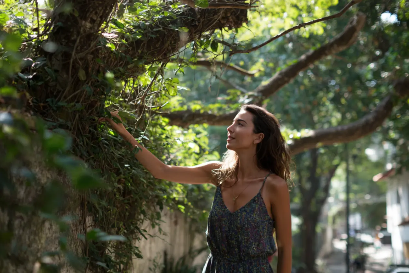 arvores-que-oferecem-sombra-e-frescor-5 As árvores que oferecem sombra e frescor em calçadas de climas quentes arvores-que-oferecem-sombra-e-frescor-5 As árvores que oferecem sombra e frescor em calçadas de climas quentes