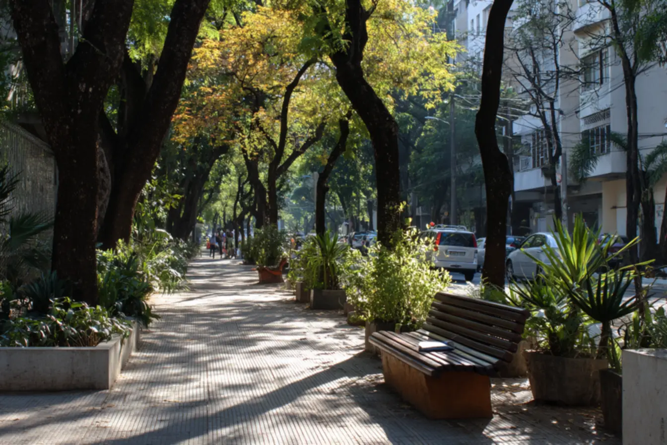 arvores-que-oferecem-sombra-e-frescor As árvores que oferecem sombra e frescor em calçadas de climas quentes arvores-que-oferecem-sombra-e-frescor As árvores que oferecem sombra e frescor em calçadas de climas quentes