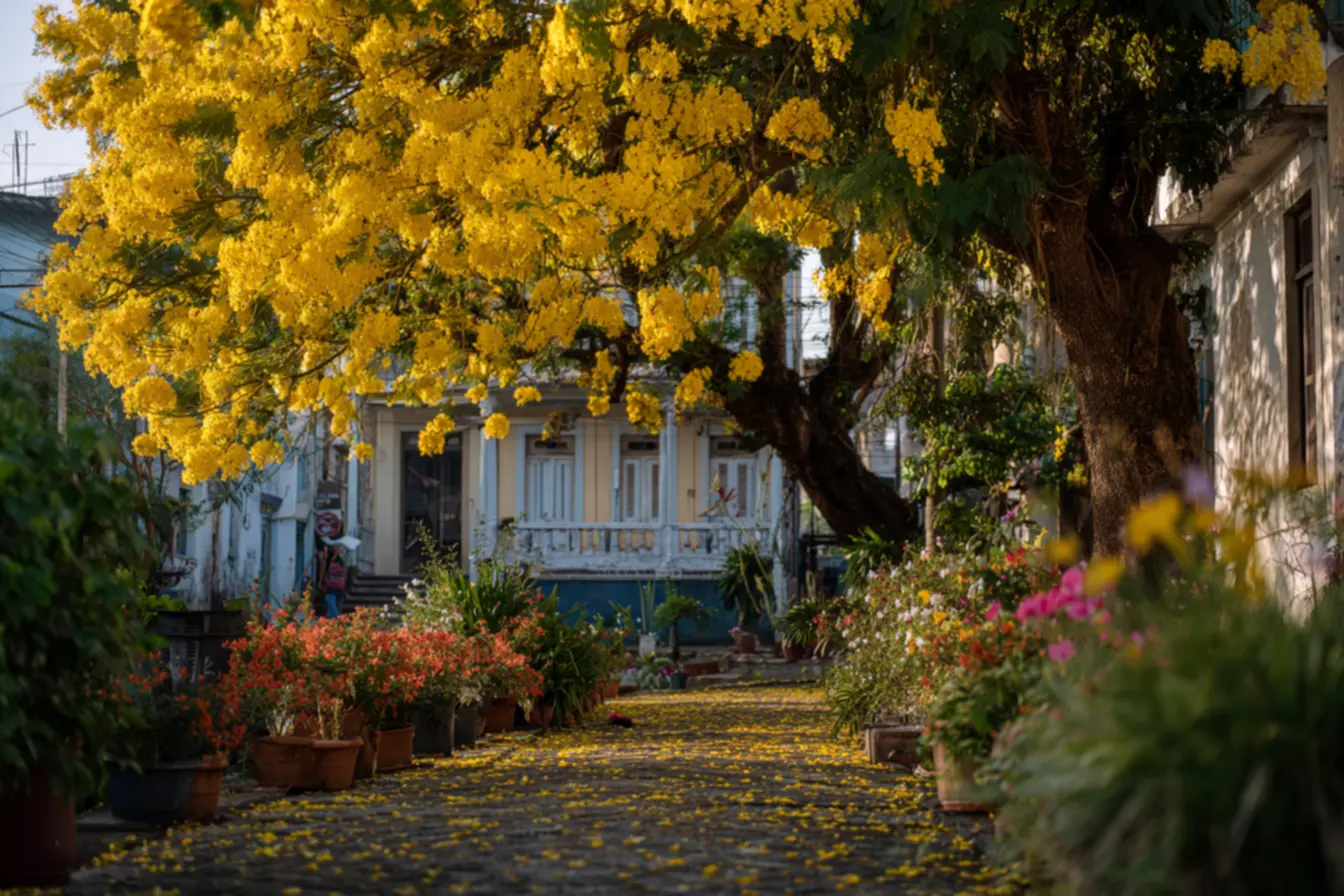 plantas-que-embelezam-calcadas-1 Plantas que embelezam calçadas e trazem vida ao seu espaço externo de forma surpreendente plantas-que-embelezam-calcadas-1 Plantas que embelezam calçadas e trazem vida ao seu espaço externo de forma surpreendente