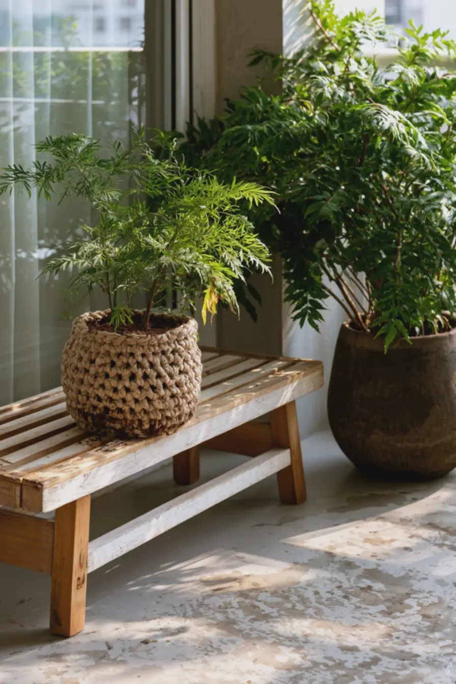 cachepot-de-ceramica-escura-apertado-para-planta-grande-inclinada-mostrandoimpacto-do-tamanho-inadequado Vasos de crochê versus cachepots: quando optar por um ou outro na decoração cachepot-de-ceramica-escura-apertado-para-planta-grande-inclinada-mostrandoimpacto-do-tamanho-inadequado Vasos de crochê versus cachepots: quando optar por um ou outro na decoração