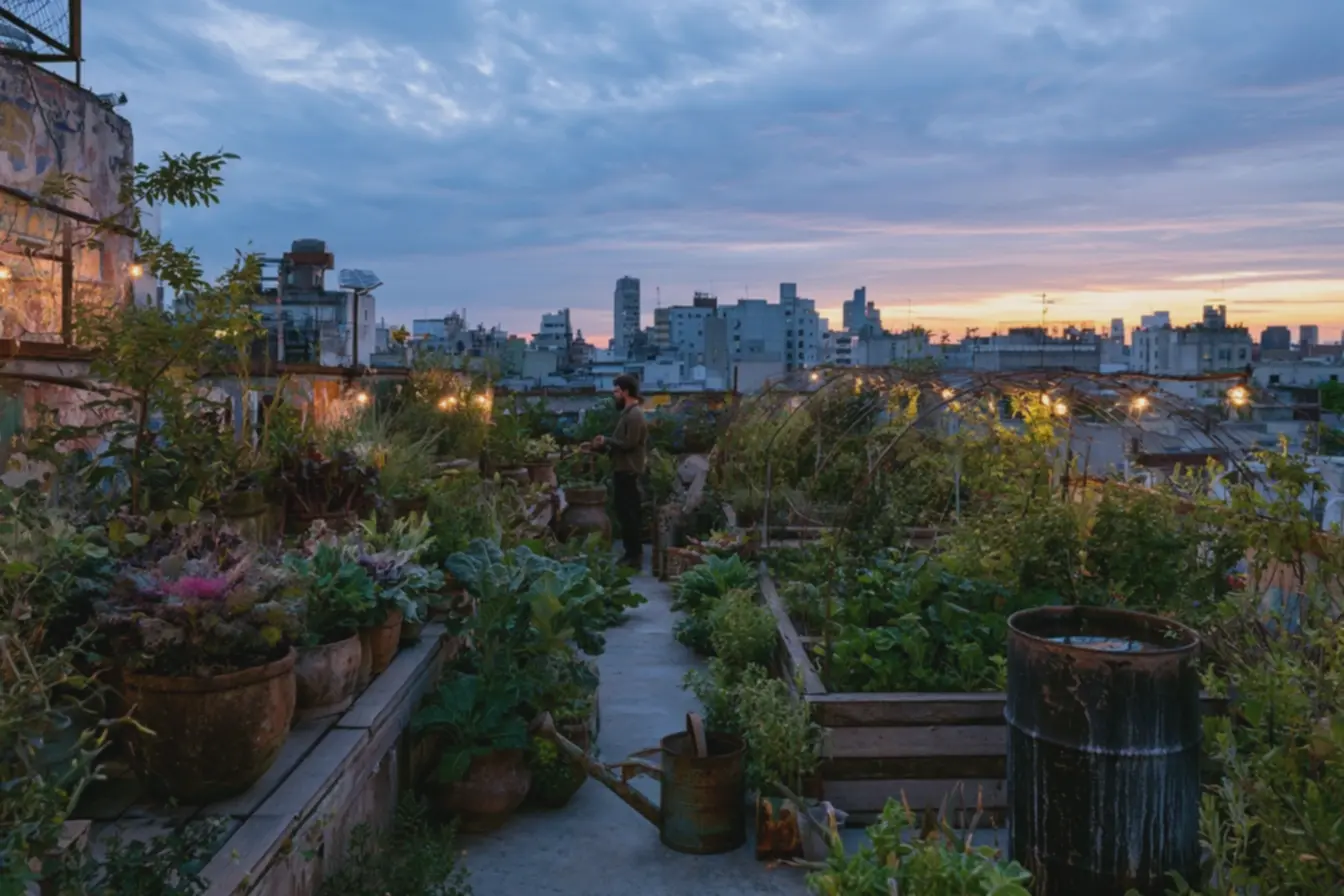 horta-urbana-ao-entardecer-com-vasos-rusticos-de-barro-e-ferro-contendo-couve-eacelga-colorida Como cuidar da horta no frio: o segredo para plantas que não param de crescer horta-urbana-ao-entardecer-com-vasos-rusticos-de-barro-e-ferro-contendo-couve-eacelga-colorida Como cuidar da horta no frio: o segredo para plantas que não param de crescer